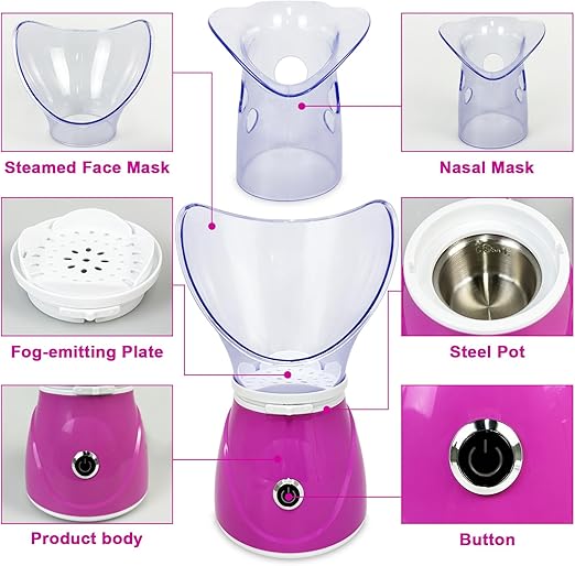 Professional Facial Steamer
